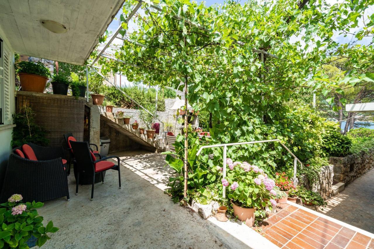 Zarac Dubrovnik