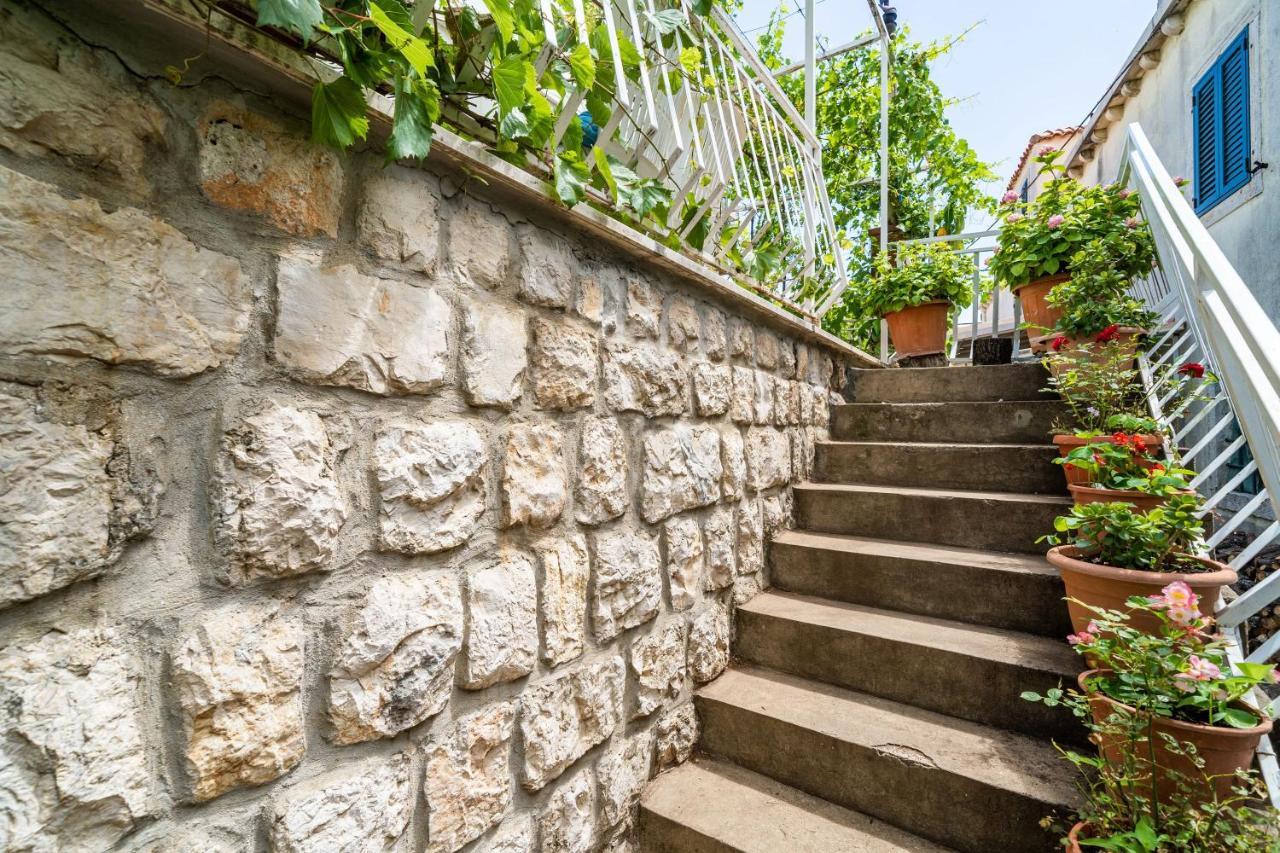 Apartment Zarac *
